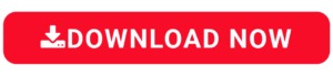 Bingo 101